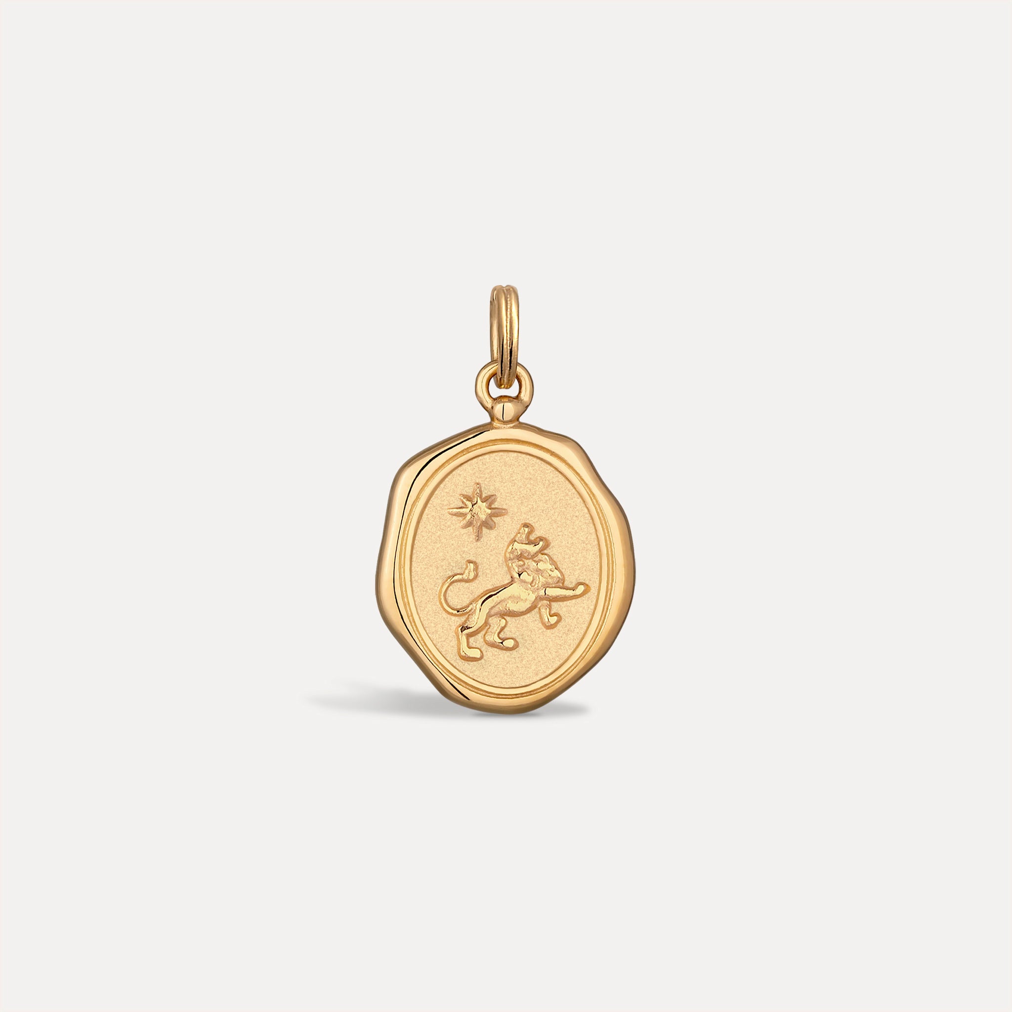 Zodiac Seal Pendant | 14k Gold