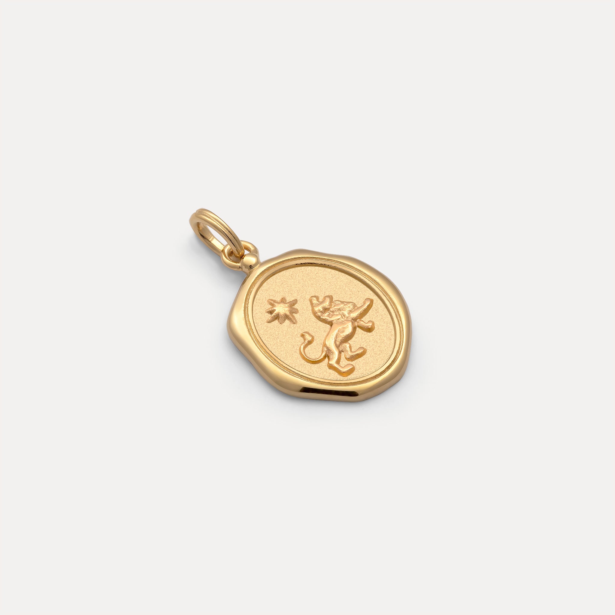 Zodiac Seal Pendant | 14k Gold