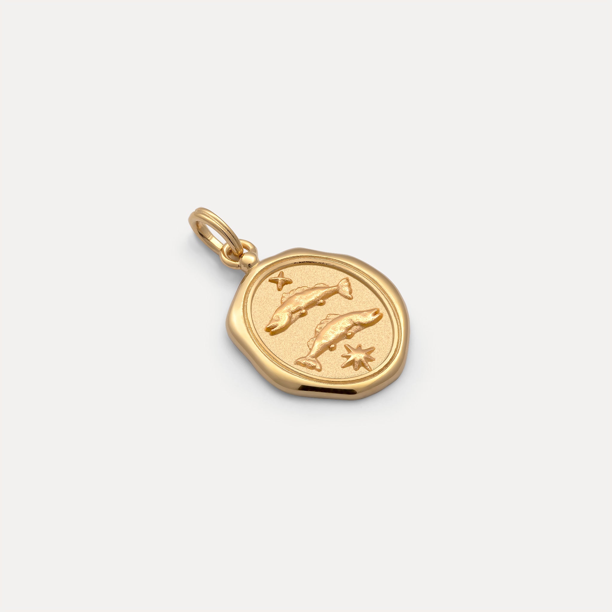 Zodiac Seal Pendant | 14k Gold