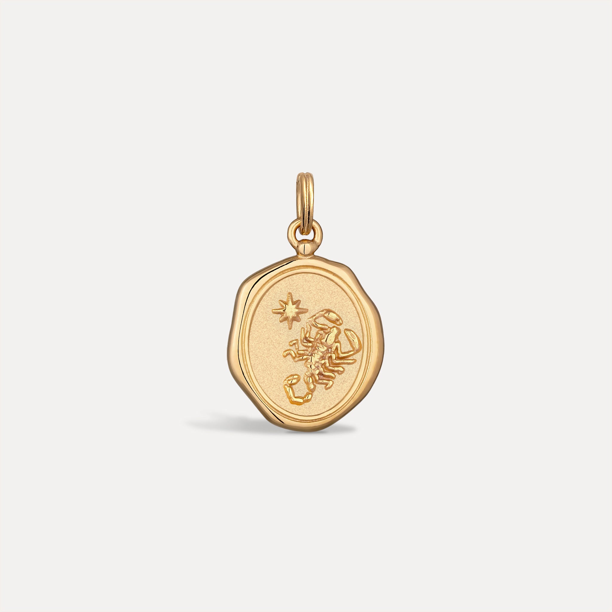 Zodiac Seal Pendant | 14k Gold