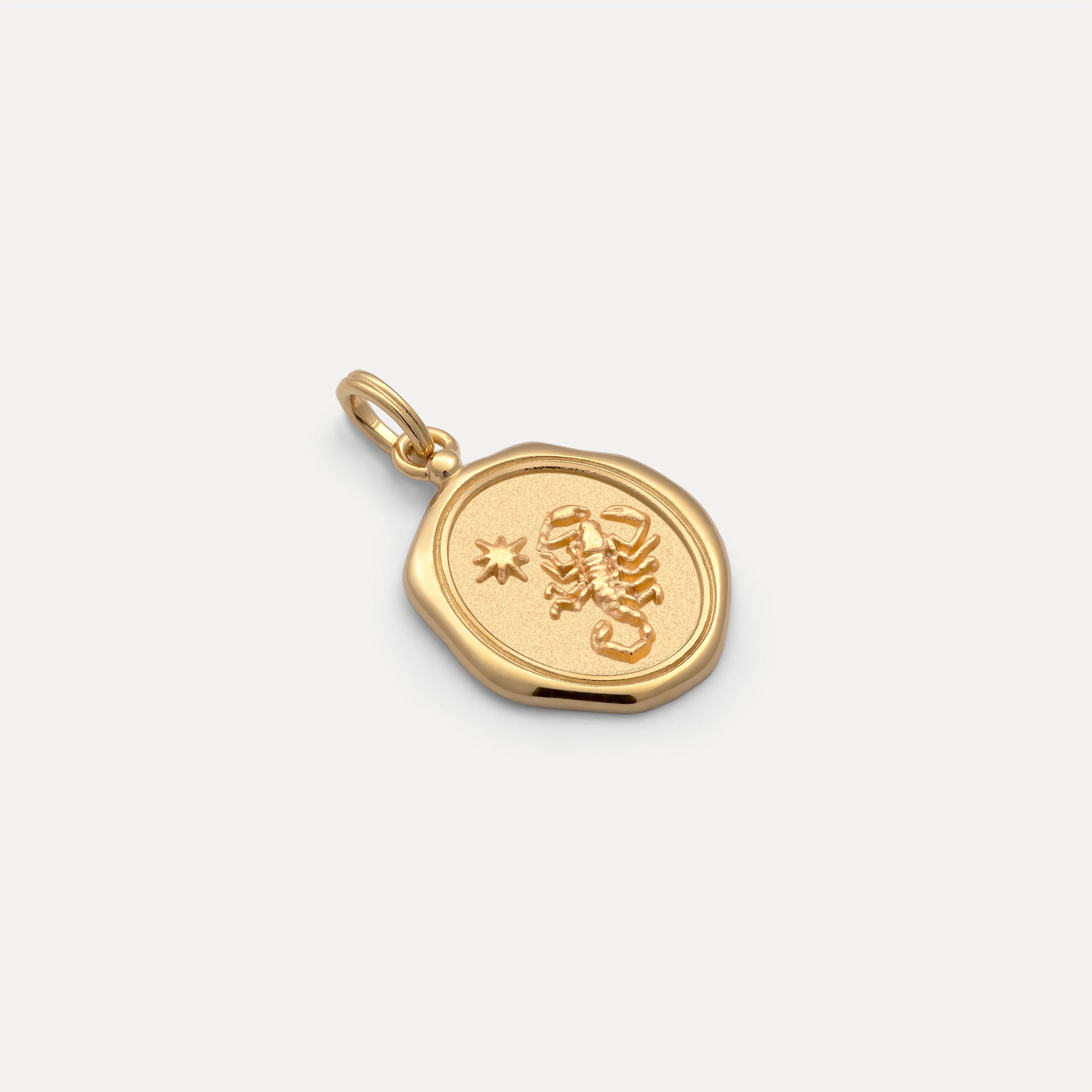 Zodiac Seal Pendant | 14k Gold