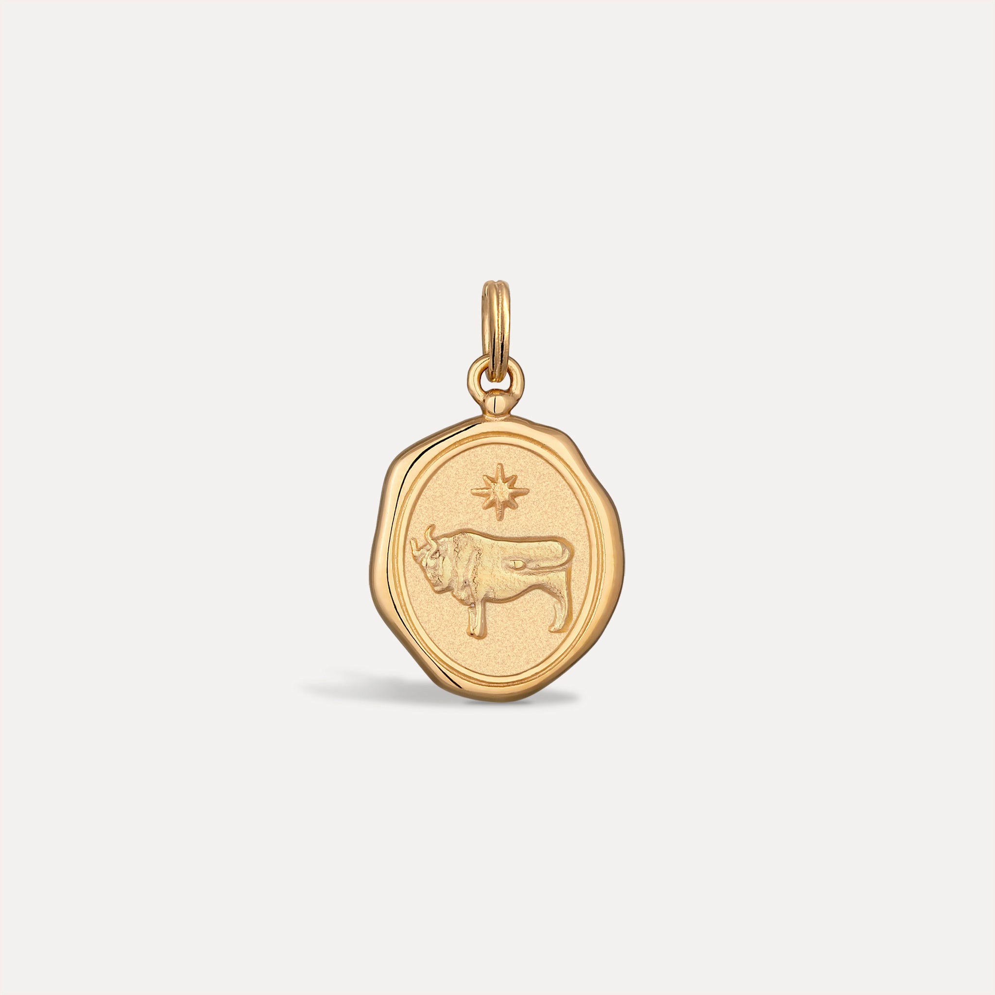 Zodiac Seal Pendant | 14k Gold