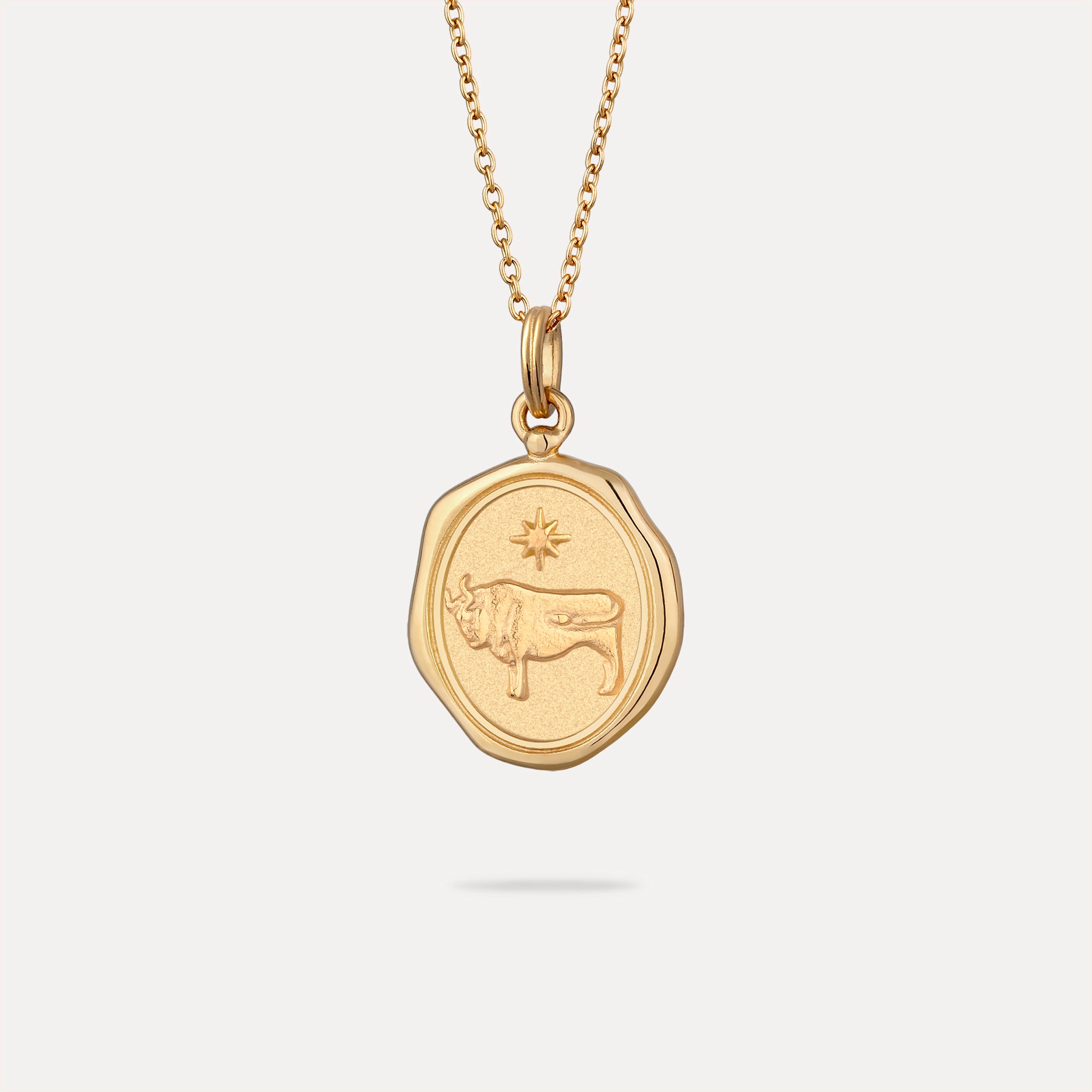 Zodiac Seal Pendant | 14k Gold