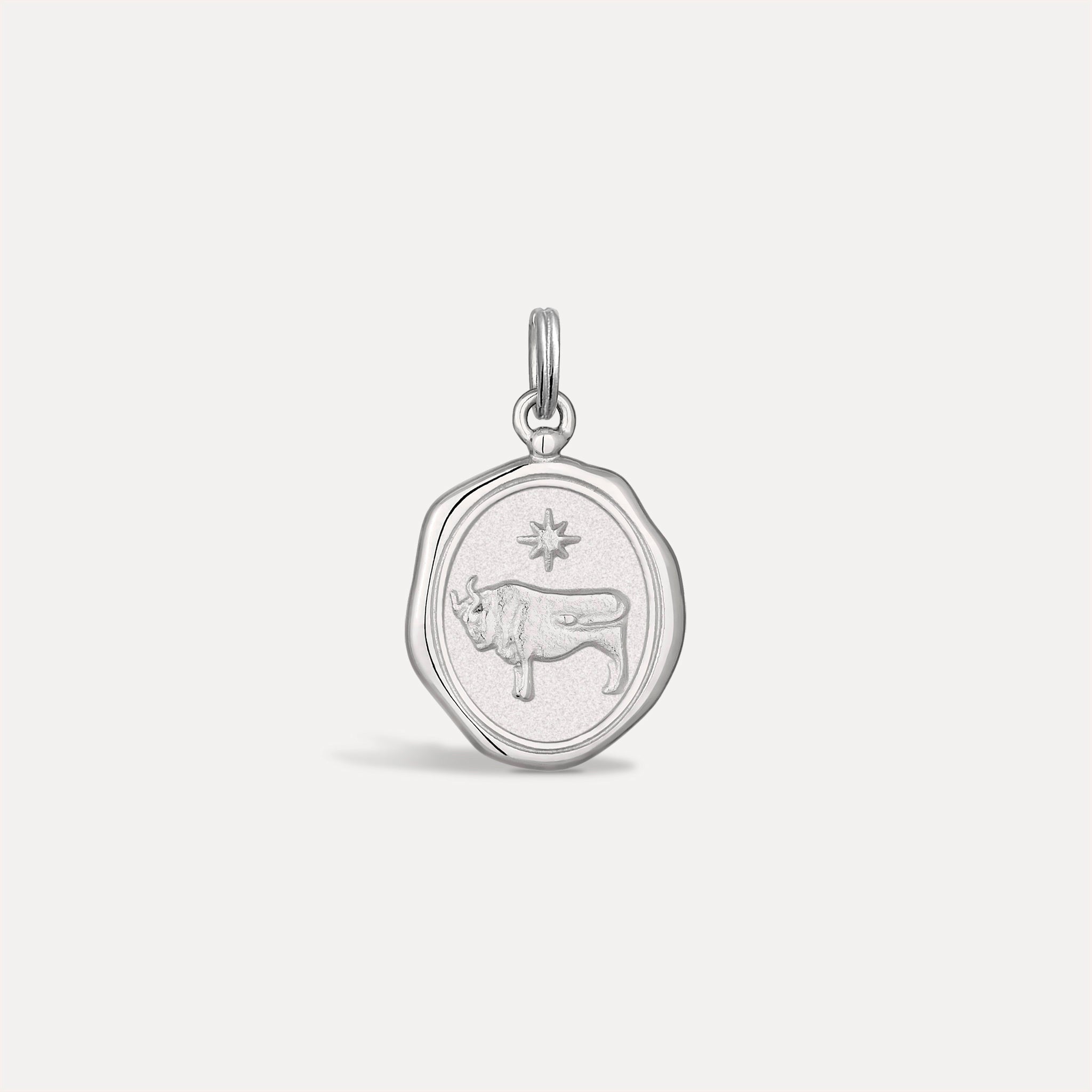 Zodiac Seal Pendant