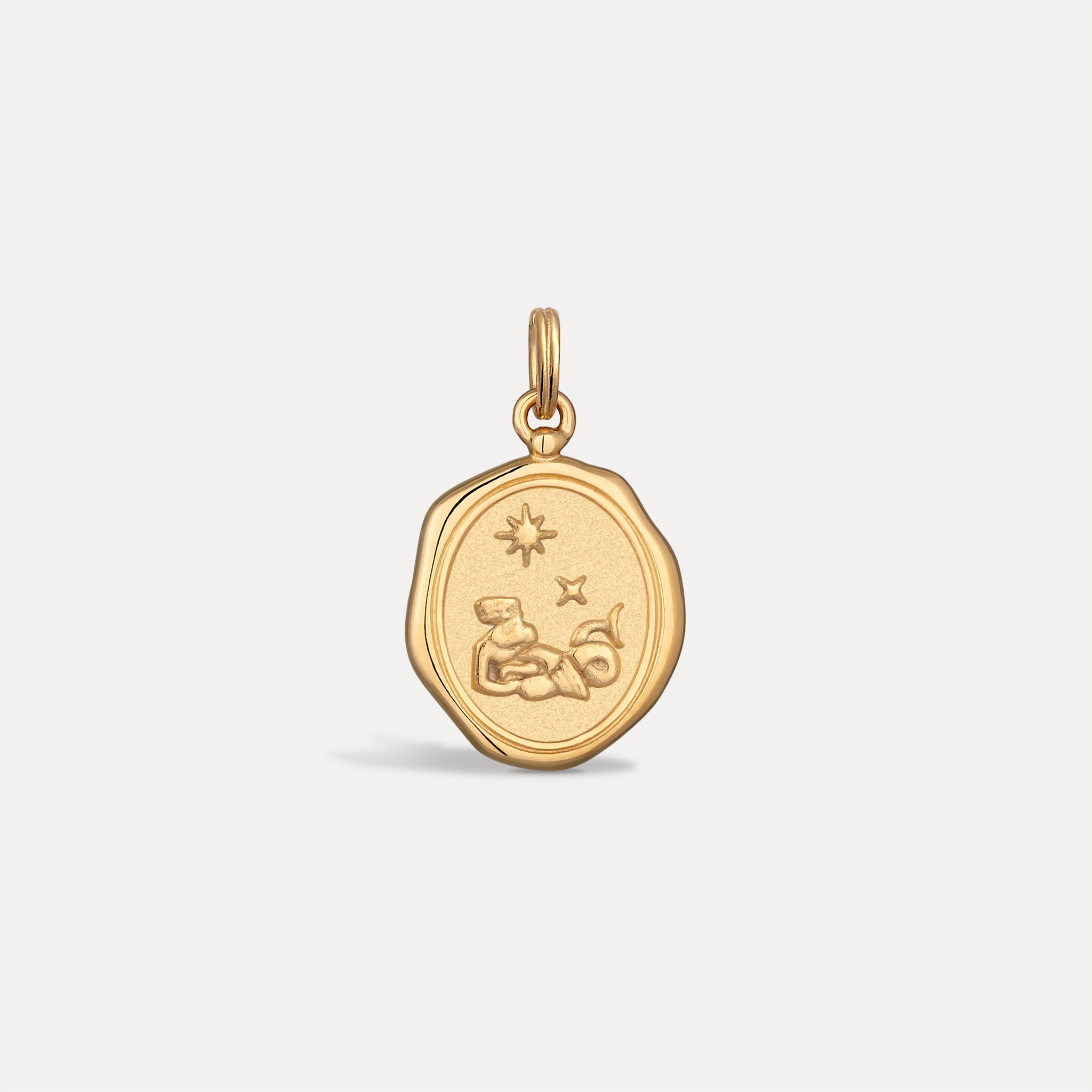 Zodiac Seal Pendant | 14k Gold