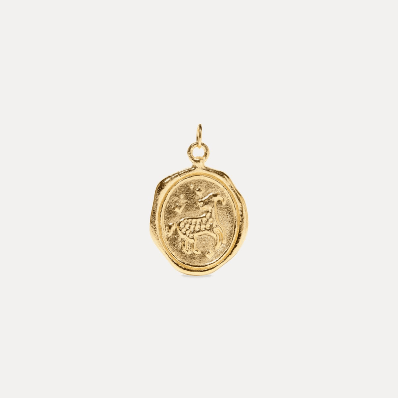 Zodiac Seal Pendant 14k Solid Gold