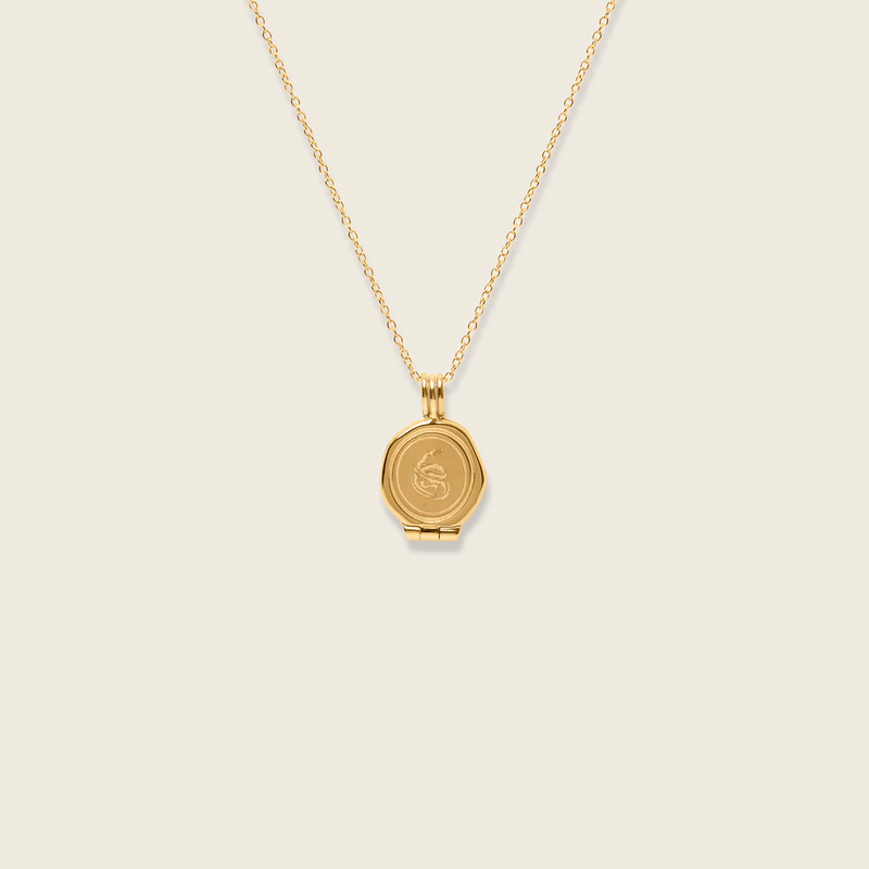 Snake Seal Locket Necklace