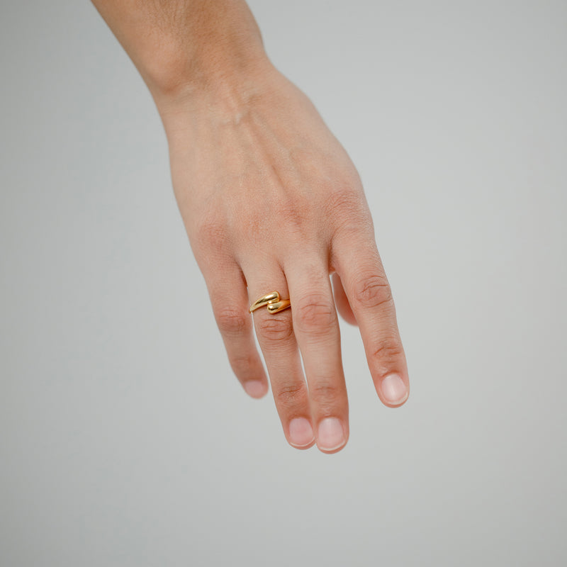 The Encounters Ring